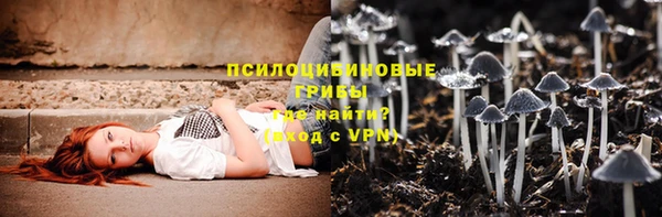 СК Аркадак
